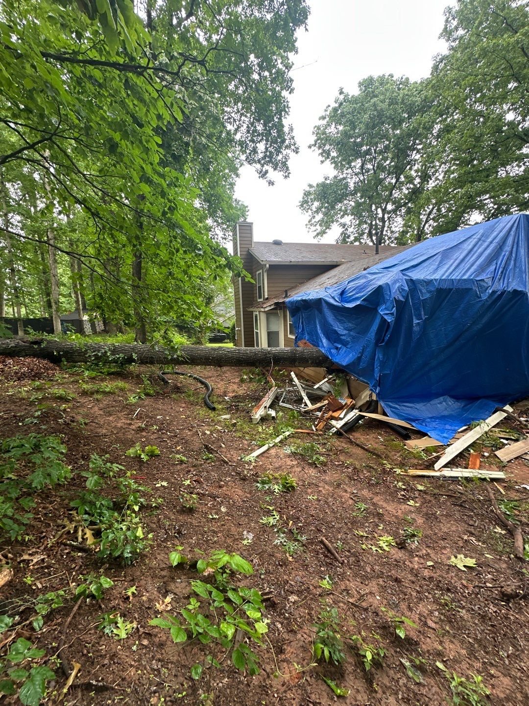 Fallen Tree Rebuild — Stonecrest — Before — photo 3