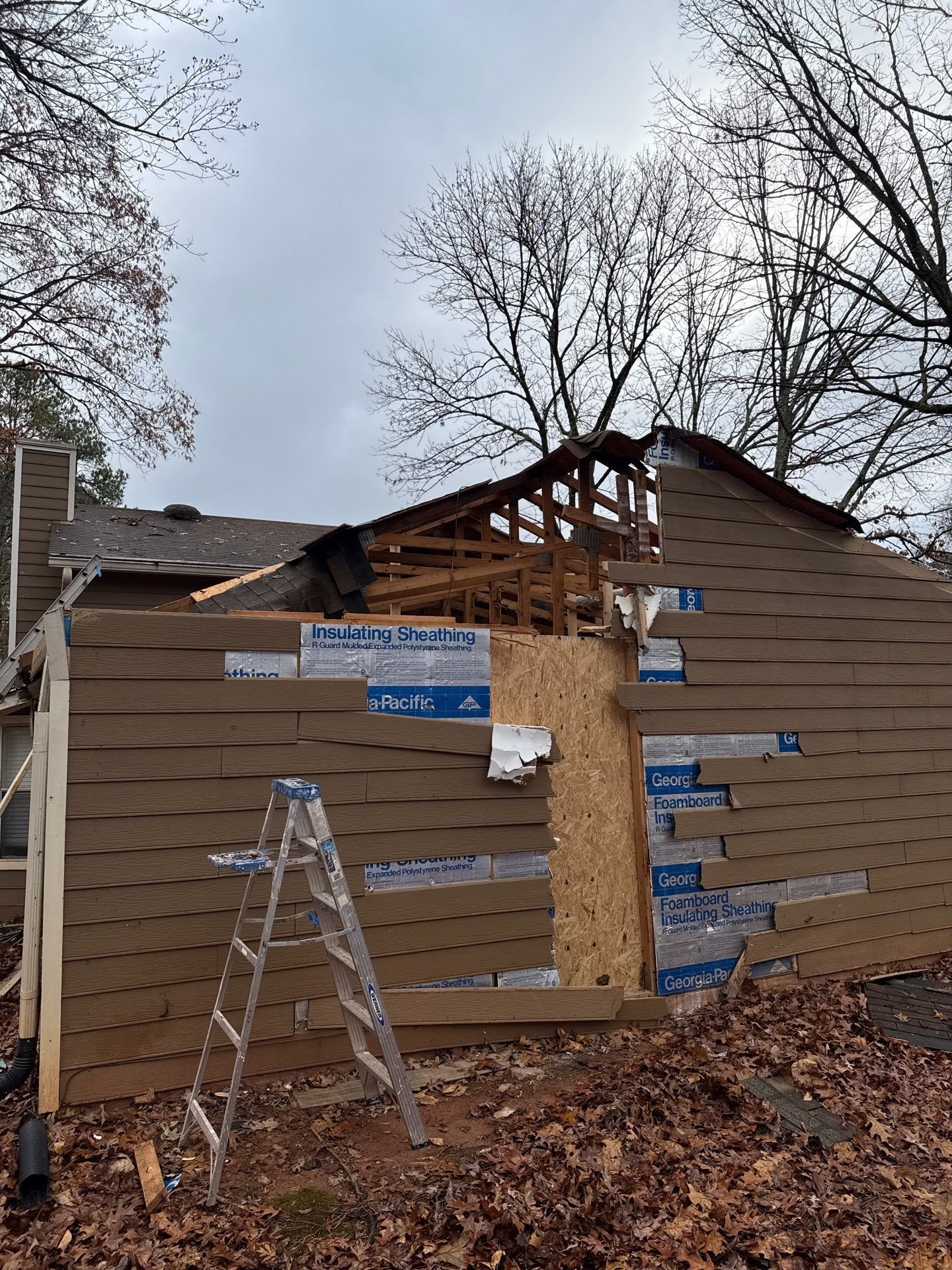 Fallen Tree Rebuild — Stonecrest — Before — photo 5
