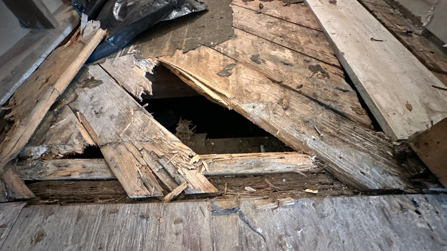 Whole Home Restoration — Atlanta — Before — photo 4